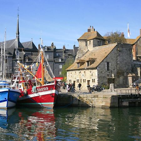 Studio Meuble Jacynthe Proche Le Havre - Etretat - Honfleur Saint-Romain-de-Colbosc Luaran gambar
